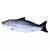 Brinquedo de peixe com 20cm para gato recheado - loja online