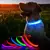 Coleiras de segurança luminosa para animais, impermeável. - comprar online