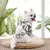 Camisetas havaianas para cães pequenos estilo praia, roupas finas. na internet