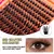 DIY Cílios Extension Kit, cílios postiços, cílios individuais, Wispy Fluffy Lash, Ferramentas Aplicador, 80P Cluster, 150Pcs - thamyres