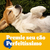 Imagem do PEDIGREE Biscoito Pedigree Biscrok