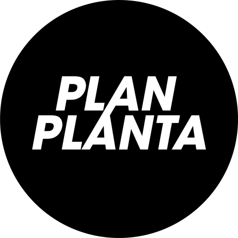 Plan Planta