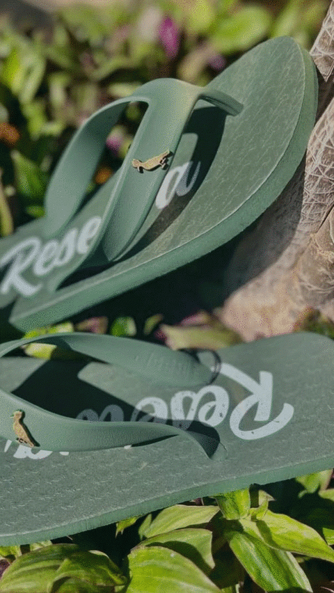 CHINELO RSV DIAS MELHORES VERAO - H39 - comprar online