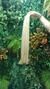 VIETNAMITA LOIRO 65cm. (100g)