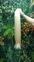 INDIANO LOIRO PREMIUM 65cm (100g) - comprar online