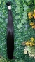 VIETNAMITA LISO 60cm (100g) - comprar online