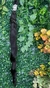 INDIANO CLASSE A ONDULADO 65cm (100g) - comprar online