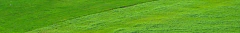 Banner da categoria Manta Fibra de Coco