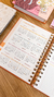 PLANNER CUTE A5 2025 - IDEIA CRIATIVA PAPELARIA