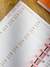 PLANNER MASTER 2025 - IDEIA CRIATIVA PAPELARIA