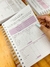 PLANNER FINANCEIRO - IDEIA CRIATIVA PAPELARIA