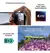 IPHONE 16 - comprar online