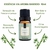 Imagem do Kit 2 Essências Via Aroma - Lavanda Francesa E Bamboo 10ml