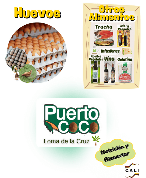 Carrusel 1