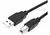 CABLE IMPRESORA USB 2.0 A/B (M) 3.00 MTS INT.COM - comprar online