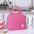 Bolsa Térmica Multiuso Lancheira P/ Marmita 20cm - loja online