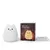 Lampara de Gatito con Sensor táctil - comprar en línea