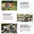 Boombox 2 en internet
