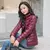 Chaqueta corta ultraligera - Shop Dr.DJ