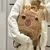 Mochila Kawaii Capybara