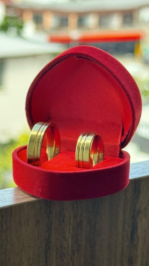 Par de Alianças Roma 6mm - comprar online