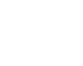 ZENITH