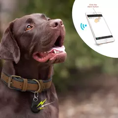 Imagen de Rastreador GPS para mascotas, accesorio mini localizador bluetooth inteligente,