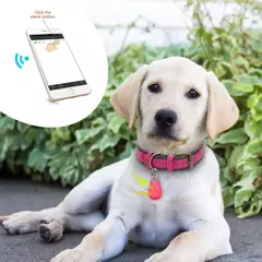 Rastreador GPS para mascotas, accesorio mini localizador bluetooth inteligente, - comprar en línea