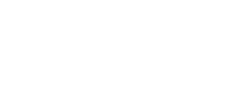 Beleza Gringa Imports