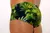 Men's swim trunks featuring a tropical leaf pattern in green and navy.