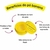 Pó de Banana Fenzza com informações sobre seus benefícios em fundo amarelo.