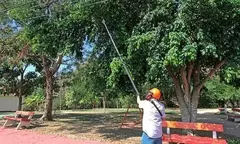 Podador De Altura Telescópica Brudden Pb-26 26cc 2tempos Nf - GSBrasil