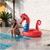 Inflable Caballito de Mar Rojo 150cm x 120cm - Nexwave