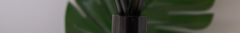 Banner da categoria Difusores