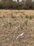 Soportes tipo Veletas, Kit Avion (x 11 unidades ) - comprar online