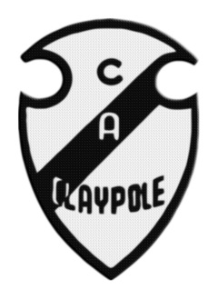 Parche Termoadhesivo 7,5cm de Claypole +20 modelos - comprar online