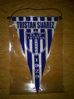 Banderín Triangular Tristan Suarez 24 Modelos - tienda online