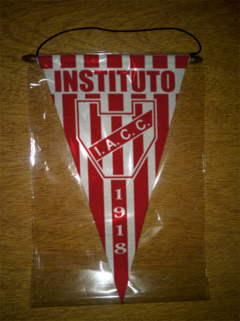 Banderin Triangular Instituto 21 Modelos