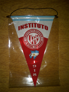 Banderin Triangular Instituto 21 Modelos en internet