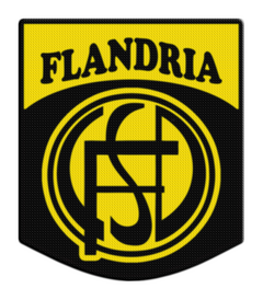 Parche Termoadhesivo 7,5cm de Flandria +30 modelos - LM MERCHANDISING