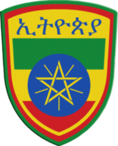 Patchs Termocolantes Escudo 7,5Cm - Países De África