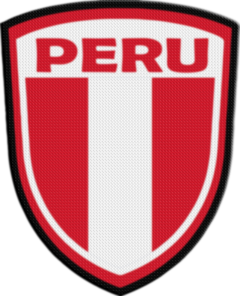 Parches Termoadhesivos Shield 7,5cm - Países de América - comprar online