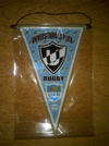 Banderin Triangular Universitario La Plata - comprar online