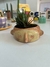 Cabeza con planta en internet