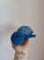 Tortugas en internet
