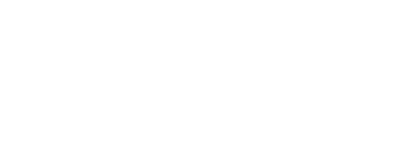 ANIME FEST Letreiros neon
