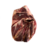 IZQUIERDO - 2,5 kg | Paleta de bellota 24 meses 50% raza ibérica deshuesado - comprar online