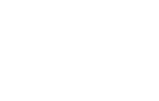 Bueno Lagarto