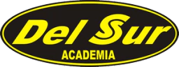 ACADEMIADELSUR