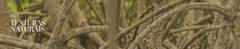 Banner da categoria Texturas naturais